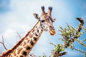 Kananga Special Tented Camp