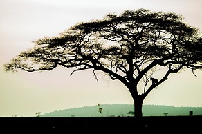 Kananga Special Tented Camp