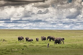 Kananga Special Tented Camp