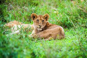 Kananga Special Tented Camp