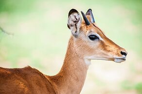 Kananga Special Tented Camp