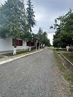 Route 68 Gurasada Park Hostel