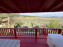 Casa Del Olivia