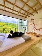 GLAMPING RAICES