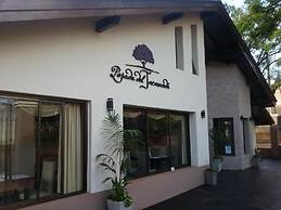 Posada Del Jacarandá