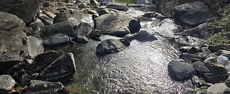 Samlaun