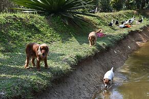 Wetland Homestay & Camping