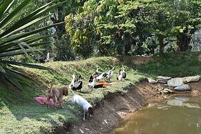 Wetland Homestay & Camping