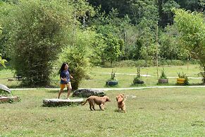 Wetland Homestay & Camping