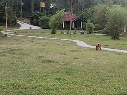 Wetland Homestay & Camping
