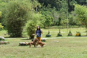 Wetland Homestay & Camping
