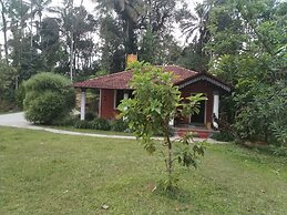 Wetland Homestay & Camping
