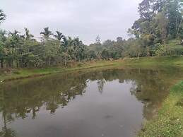 Wetland Homestay & Camping