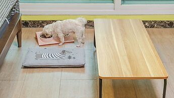 Gapyeong Funny Mongmong Galaxy House