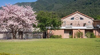 Gapyeong Funny Mongmong Galaxy House