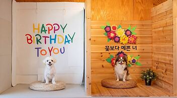 Gapyeong Funny Mongmong Galaxy House
