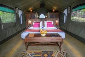 Madulkelle Tea and Eco Lodge