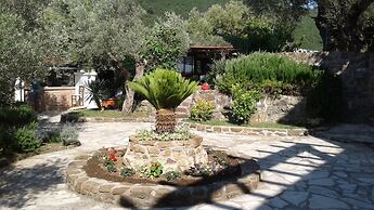 Resort Maslinjak