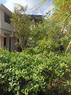 Kodai Blossom Cottages