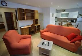 Comfortable apartment in the center