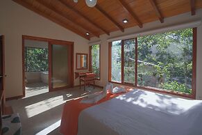 Mindo Magico