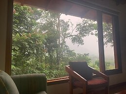 Mindo Magico