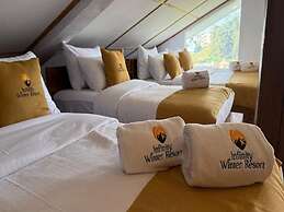 Infinity Winter Resort