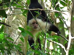 Spacious Monteverde Bird-watchers Home