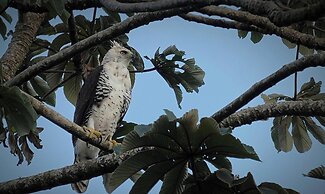 Spacious Monteverde Bird-watchers Home