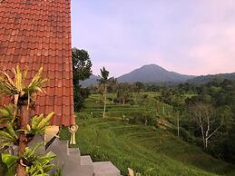 Padi Bali Jatiluwih