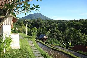Padi Bali Jatiluwih