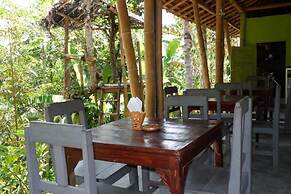 Padi Bali Jatiluwih