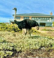 Yzerfontein 3 Bed House With Pool Sea Views