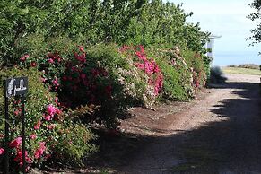 Seaside Farm
