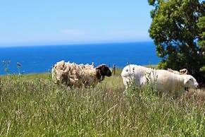 Seaside Farm
