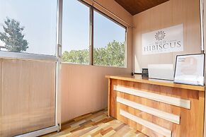 Wild Hibiscuss Resort