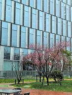 IntercityHotel Shanghai jinqiao