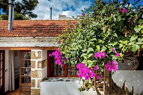 Hotel Emblemático Duque de la Torre