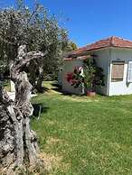 Physis Oikos Beachfront Apartments