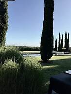 Room-frogs Pond Vineyards