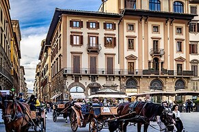 Signoria Collection
