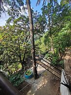 Ella Treehouse