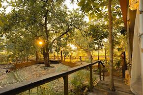 Yaarnagar Jungle Resort Ratapani