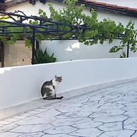 Villa Elpiniki