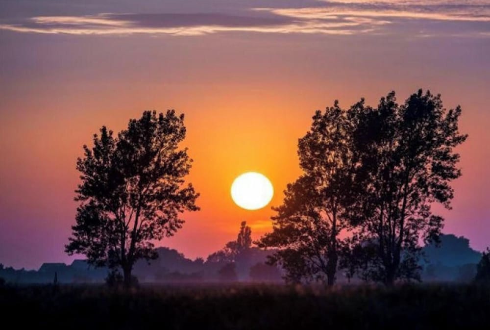 Ferienwohnung in Orth auf Fehmarn