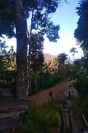 Mango shadow inn