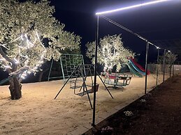 Jerash&Ajloun Nature Escape