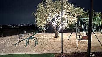 Jerash&Ajloun Nature Escape