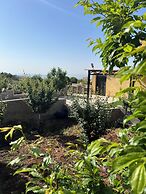 Jerash&Ajloun Nature Escape