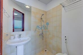 Aspin Holiday Homes